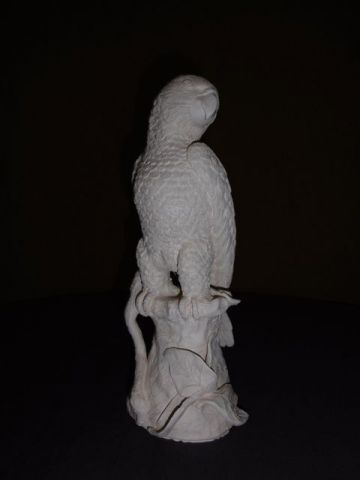 Mon Perroquet